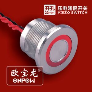 Piezoelectric Actuator